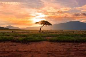 Kenya Kenya